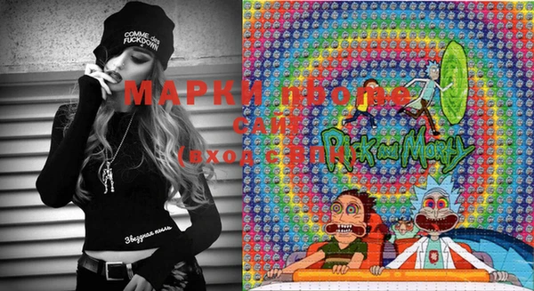 ECSTASY Пересвет