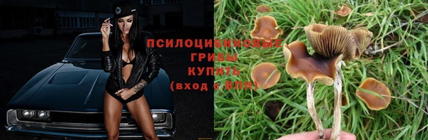 ECSTASY Пересвет