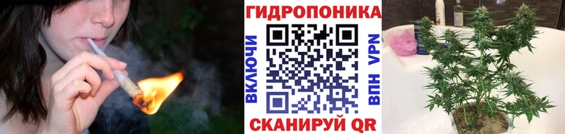 Купить где  Бердск  Каннабис гибрид 